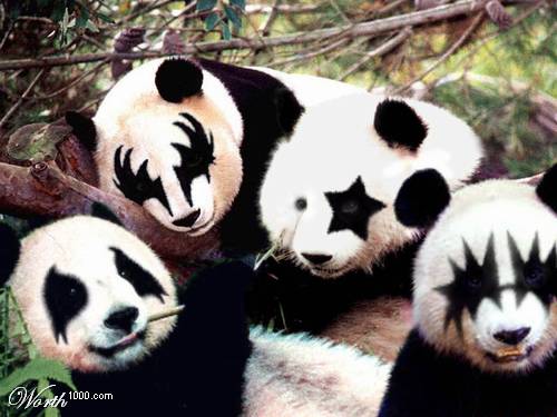 Kiss the Pandas!
